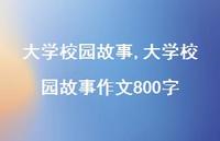 大学校园故事作文800字【100句文案精选】