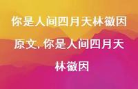 你是人间四月天 林徽因【精品文案100句】