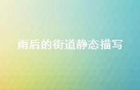 雨后的街道静态描写【100句精选短句合集】