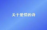 关于爱情的诗42句汇总 关于爱情的诗42句汇总