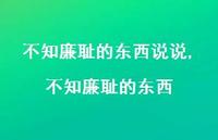 不知廉耻的东西(100句)
