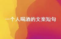 一个人喝酒的文案短句【100句精选短句合集】 一个人喝酒的文案短句【100句精选短句合集】