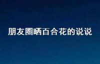 朋友圈晒百合花的说说(精选66句) 朋友圈晒百合花的说说(精选66句)