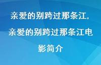 亲爱的别跨过那条江电影简介【精选100句】 亲爱的别跨过那条江电影简介【精选100句】