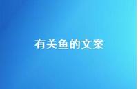 有关鱼的文案【100句精选短句合集】 有关鱼的文案【100句精选短句合集】