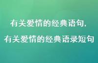 有关爱情的经典语录短句【100句文案精选】