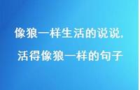 活得像狼一样的句子【100句文案】 活得像狼一样的句子【100句文案】