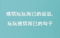 玩玩感情而已的句子(100句)
