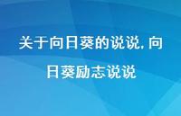 向日葵励志说说【100句文案】 向日葵励志说说【100句文案】