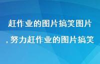 努力赶作业的图片搞笑(100句) 努力赶作业的图片搞笑(100句)