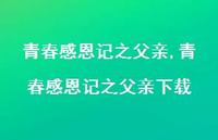 青春感恩记之父亲下载【精品文案100句】