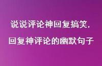 回复神评论的幽默句子【100句文案】