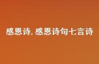 感恩诗句七言诗【精品文案100句】 感恩诗句七言诗【精品文案100句】