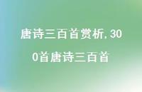 300首唐诗三百首【精品文案100句】 300首唐诗三百首【精品文案100句】