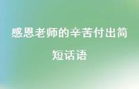 感恩老师的辛苦付出简短话语66句汇总 感恩老师的辛苦付出简短话语66句汇总