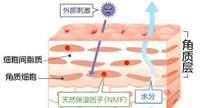 一篇搞定!补水保湿 别傻傻分不清 一篇搞定!补水保湿 别傻傻分不清
