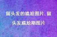 留头发尴尬期图片(100句)
