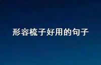 形容梳子好用的句子(精选70句) 形容梳子好用的句子(精选70句)