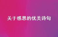 关于感恩的优美诗句(精选41句)