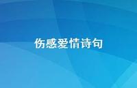 伤感爱情诗句50句汇总
