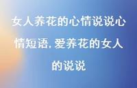 爱养花的女人的说说(100句)