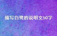 描写白鹭的说明文50字(精选49句)