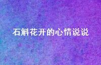 石斛花开的心情说说【100句精选短句合集】 石斛花开的心情说说【100句精选短句合集】