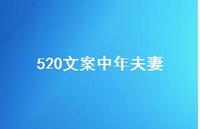 520文案中年夫妻【100句精选短句合集】