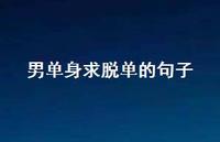 男单身求脱单的句子【100句精选短句合集】 男单身求脱单的句子【100句精选短句合集】