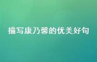 描写康乃馨的优美好句(精选57句)
