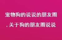 关于狗的朋友圈说说【精选100句】 关于狗的朋友圈说说【精选100句】