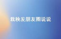 栽秧发朋友圈说说【100句精选短句合集】
