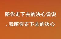 我陪你走下去的决心(100句) 我陪你走下去的决心(100句)