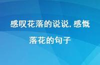 感慨落花的句子【100句文案】