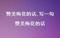 写一句赞美梅花的话【100句文案精选】