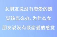 为什么女朋友说没有谈恋爱的感觉(100句) 为什么女朋友说没有谈恋爱的感觉(100句)