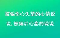 被骗后心塞的说说(100句)