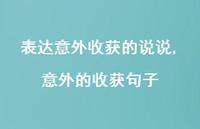 意外的收获句子(100句)