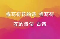 描写荷花的诗句 古诗【精品文案100句】