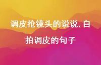 自拍调皮的句子(100句)