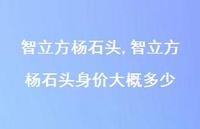智立方杨石头身价大概多少【100句文案精选】 智立方杨石头身价大概多少【100句文案精选】