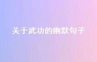 关于武功的幽默句子(精选69句) 关于武功的幽默句子(精选69句)