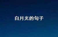 白月光的句子【100句精选短句合集】