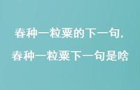 春种一粒粟下一句是啥【100句文案精选】