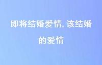 该结婚的爱情【精选100句】 该结婚的爱情【精选100句】