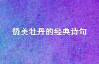 赞美牡丹的经典诗句52句汇总