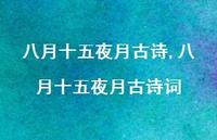 八月十五夜月古诗词【精品文案100句】 八月十五夜月古诗词【精品文案100句】