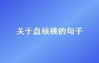 关于盘核桃的句子(精选42句)