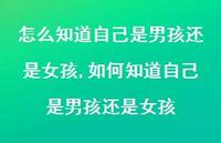 如何知道自己是男孩还是女孩(100句)