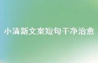 小清新文案短句干净治好【100句精选短句合集】 小清新文案短句干净治好【100句精选短句合集】